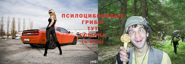 прущие крисы Дмитриев